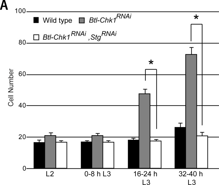 Figure 2—figure supplement 1.