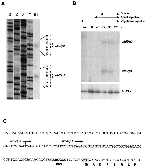 FIG. 7