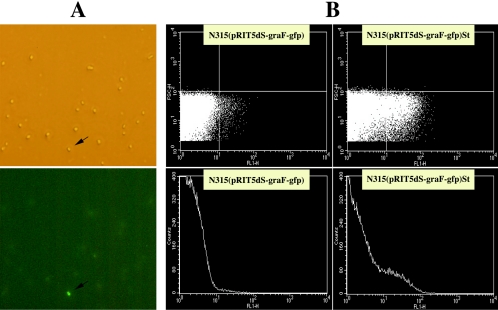 FIG. 1.