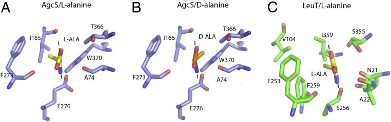 Fig. 5.