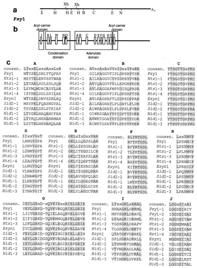 FIG. 1