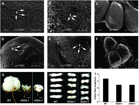 Figure 3.—