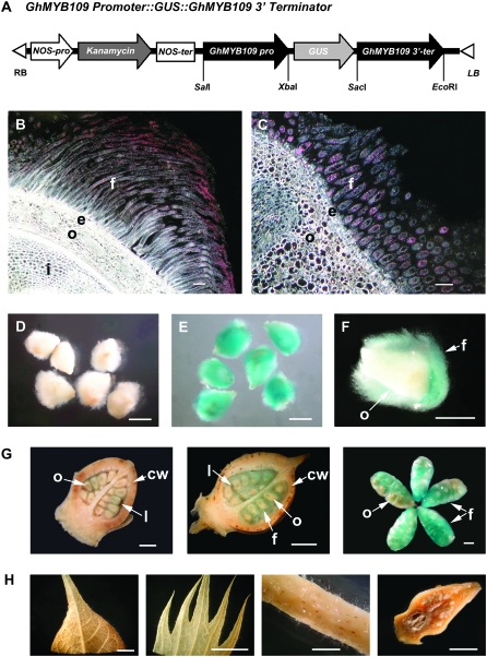 Figure 1.—