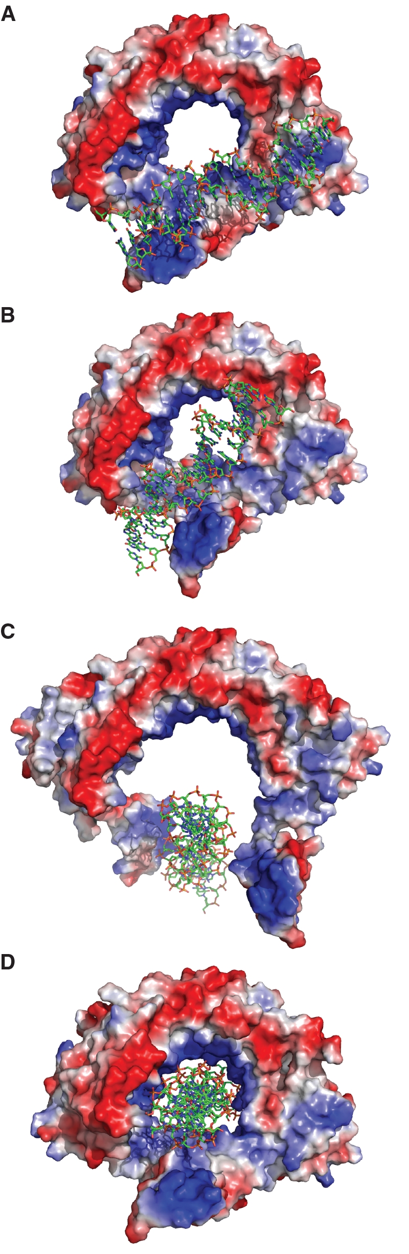 Figure 7.