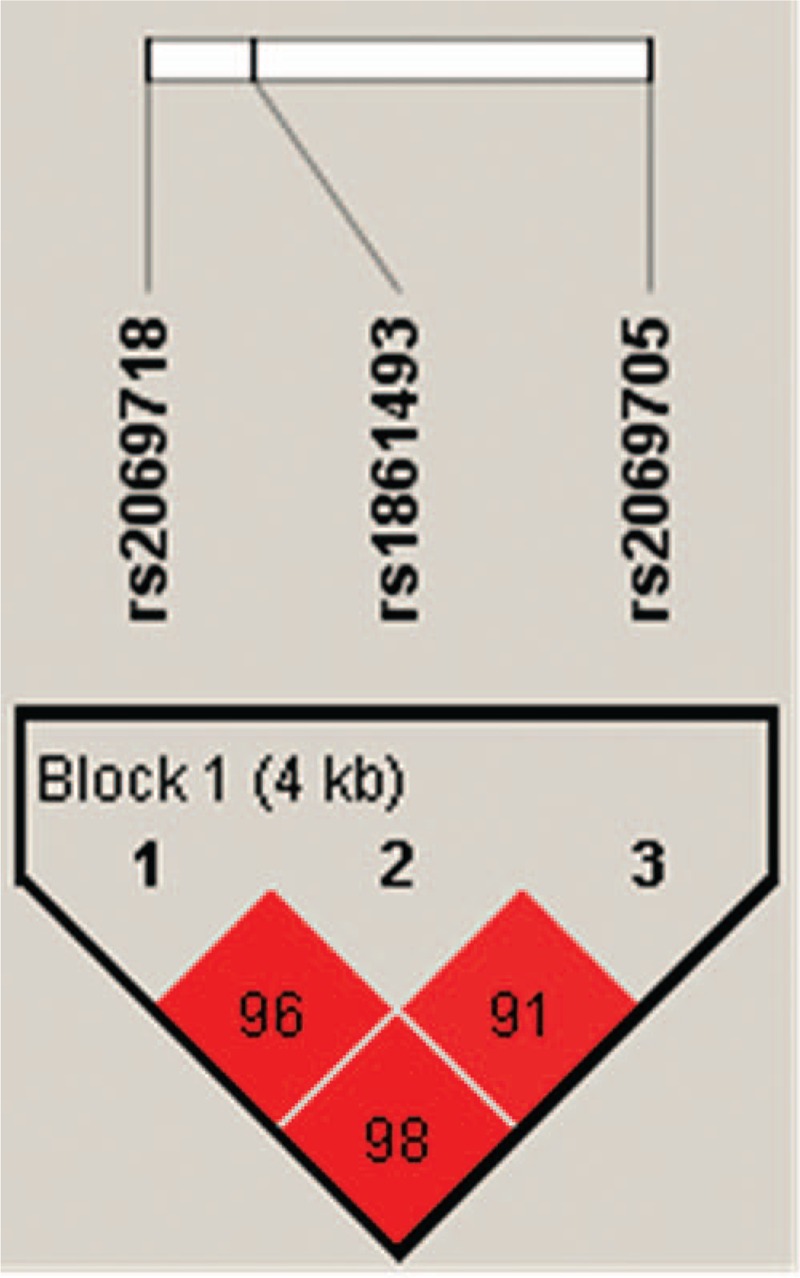 FIGURE 1