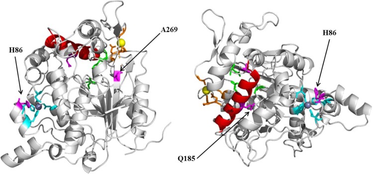 FIG 6