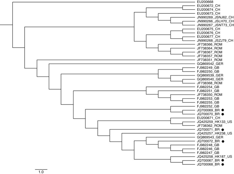 Fig. 1