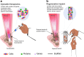 <b>FIG. 2.</b>