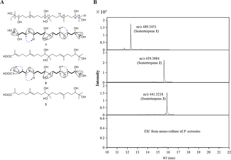 FIG 3