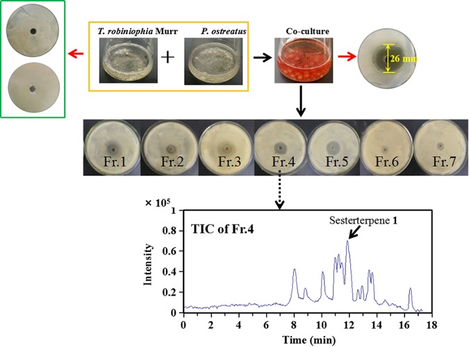 FIG 1