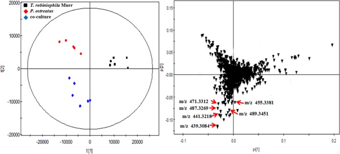 FIG 2