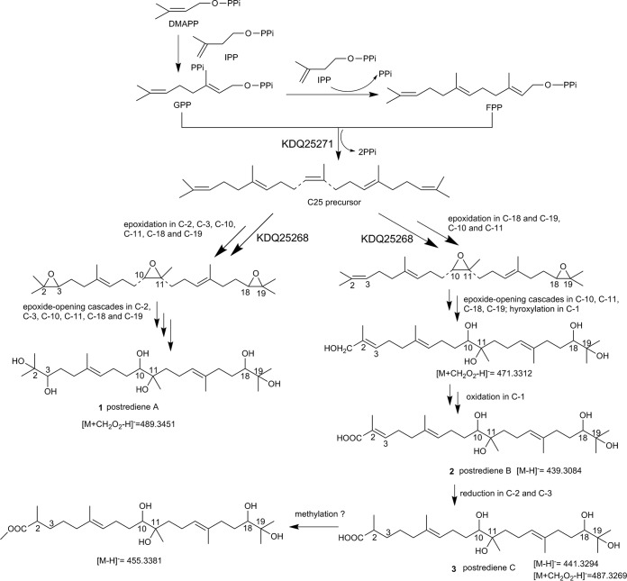 FIG 7