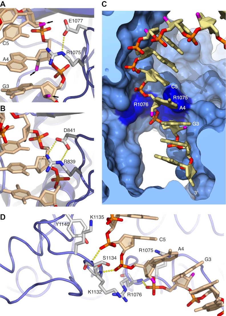 Figure 3.