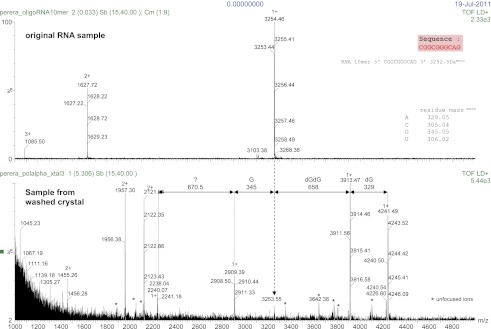 Figure 1—figure supplement 2.