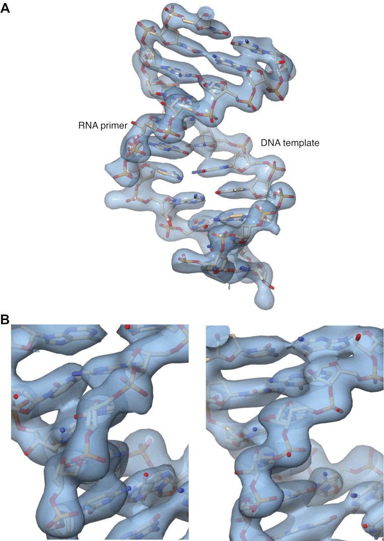 Figure 1—figure supplement 3.