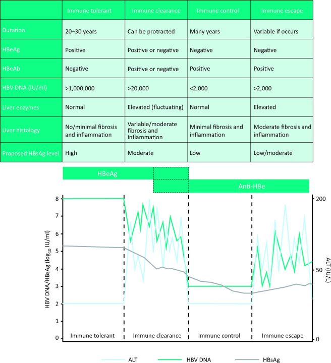 Fig 1.