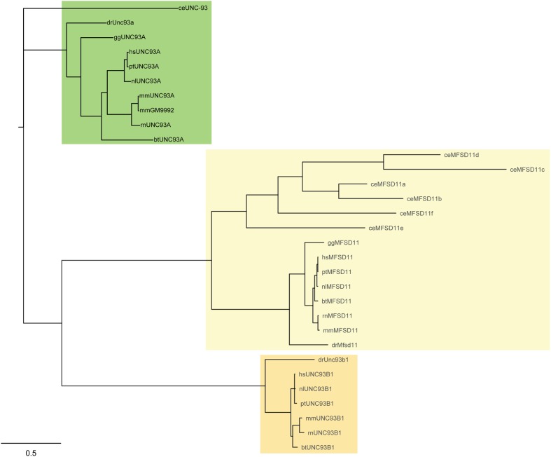 FIGURE 1