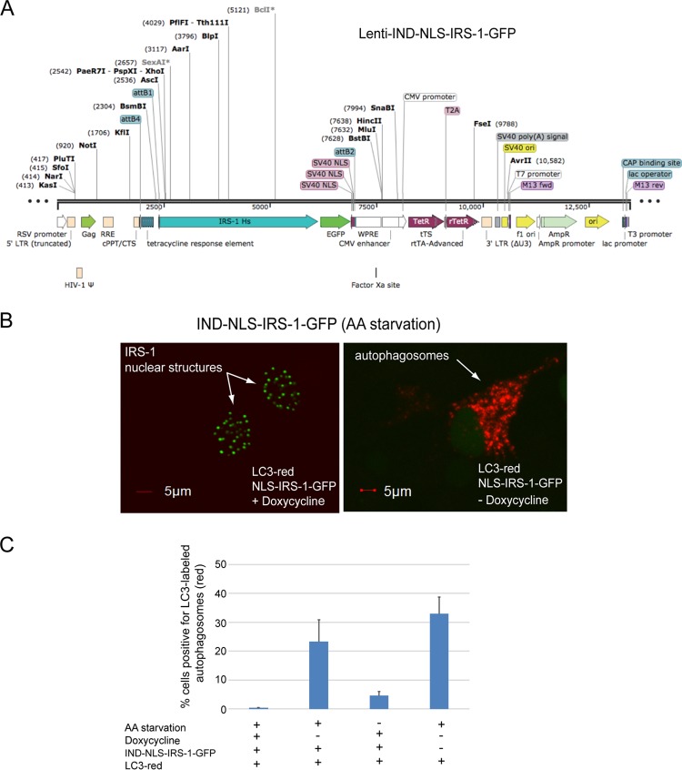 FIG 10