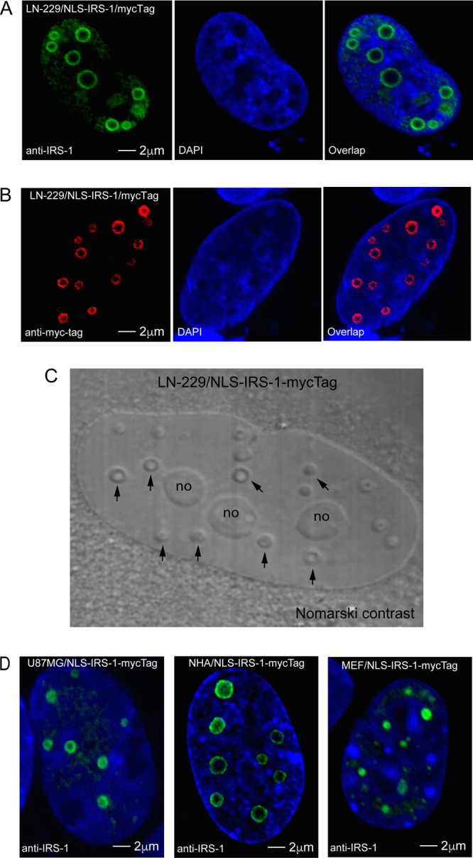 FIG 3