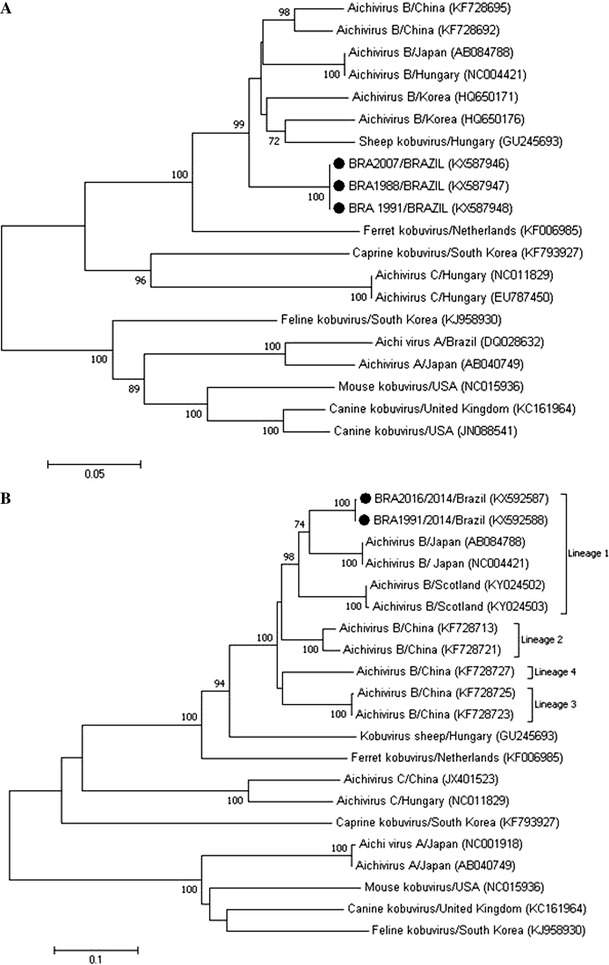 Fig. 1