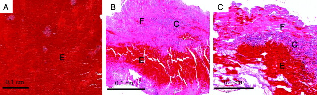 Fig 2.