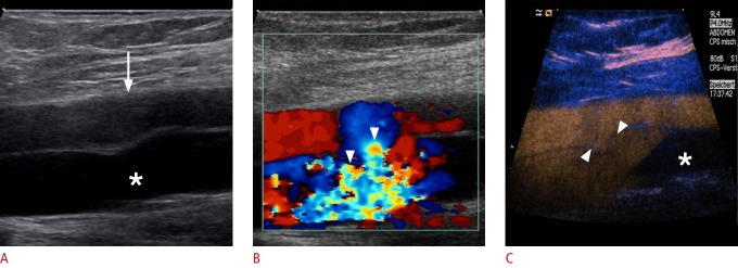 Fig. 9.