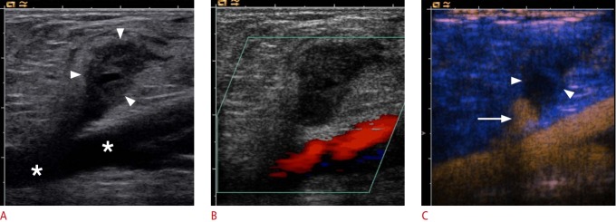 Fig. 8.