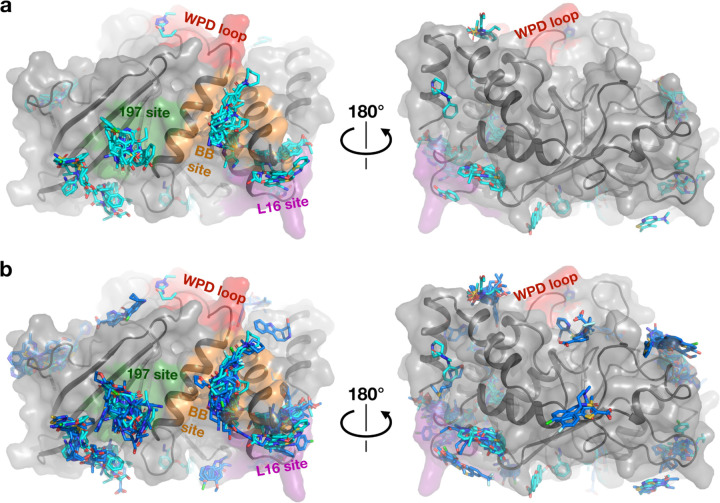 Figure 2: