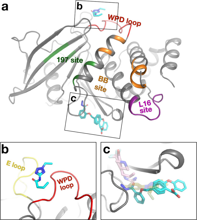 Figure 3: