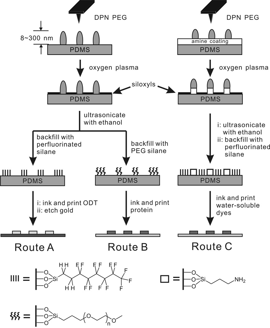 Scheme 2