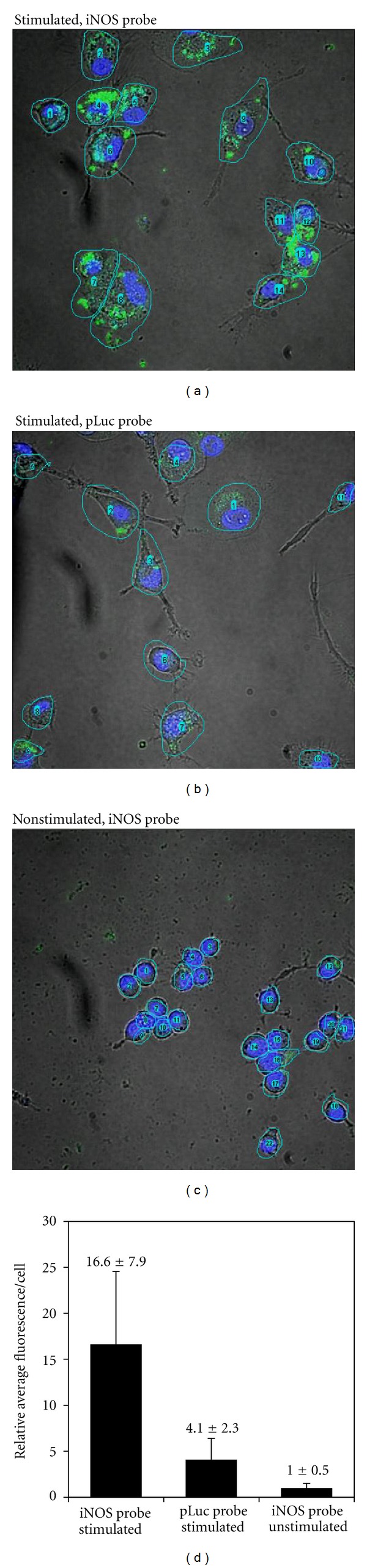 Figure 7