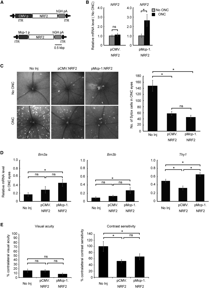 Figure 3