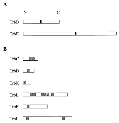 FIG. 5