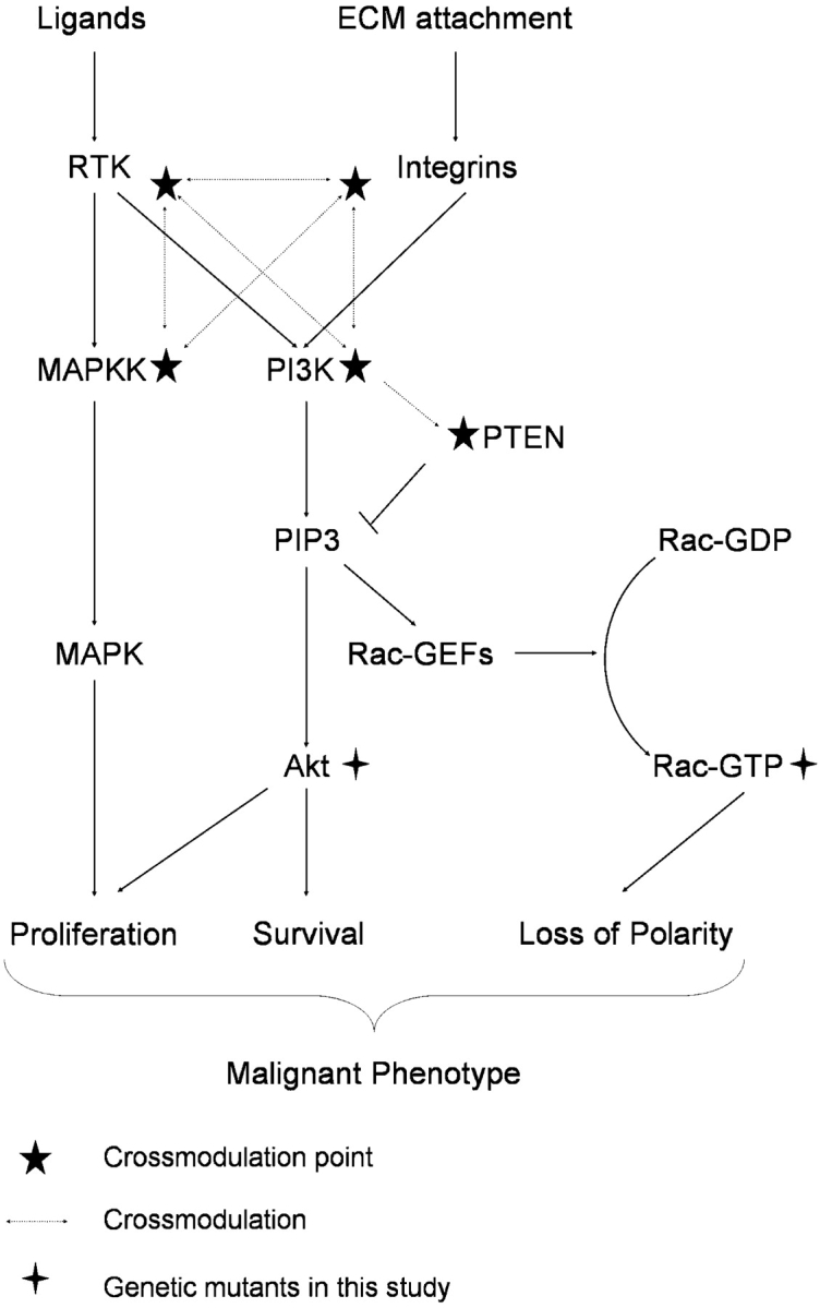 Figure 7.