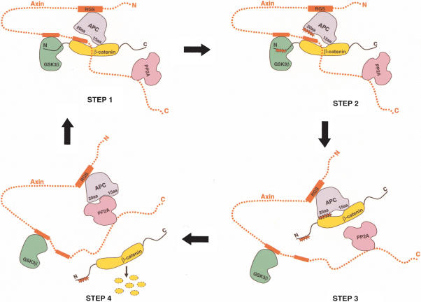 Figure 7.