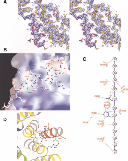 Figure 2.