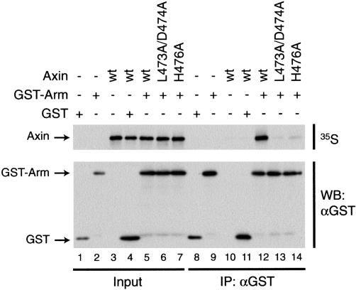 Figure 3.