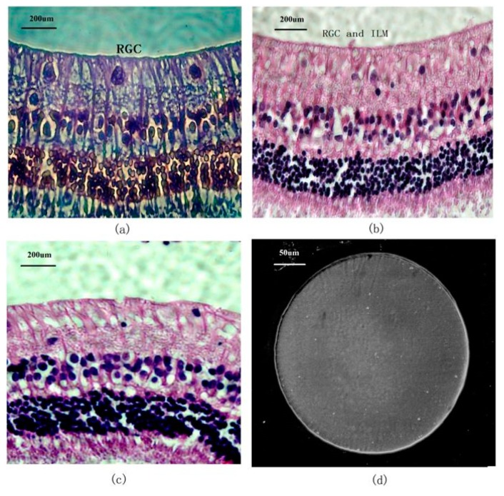 Figure 13