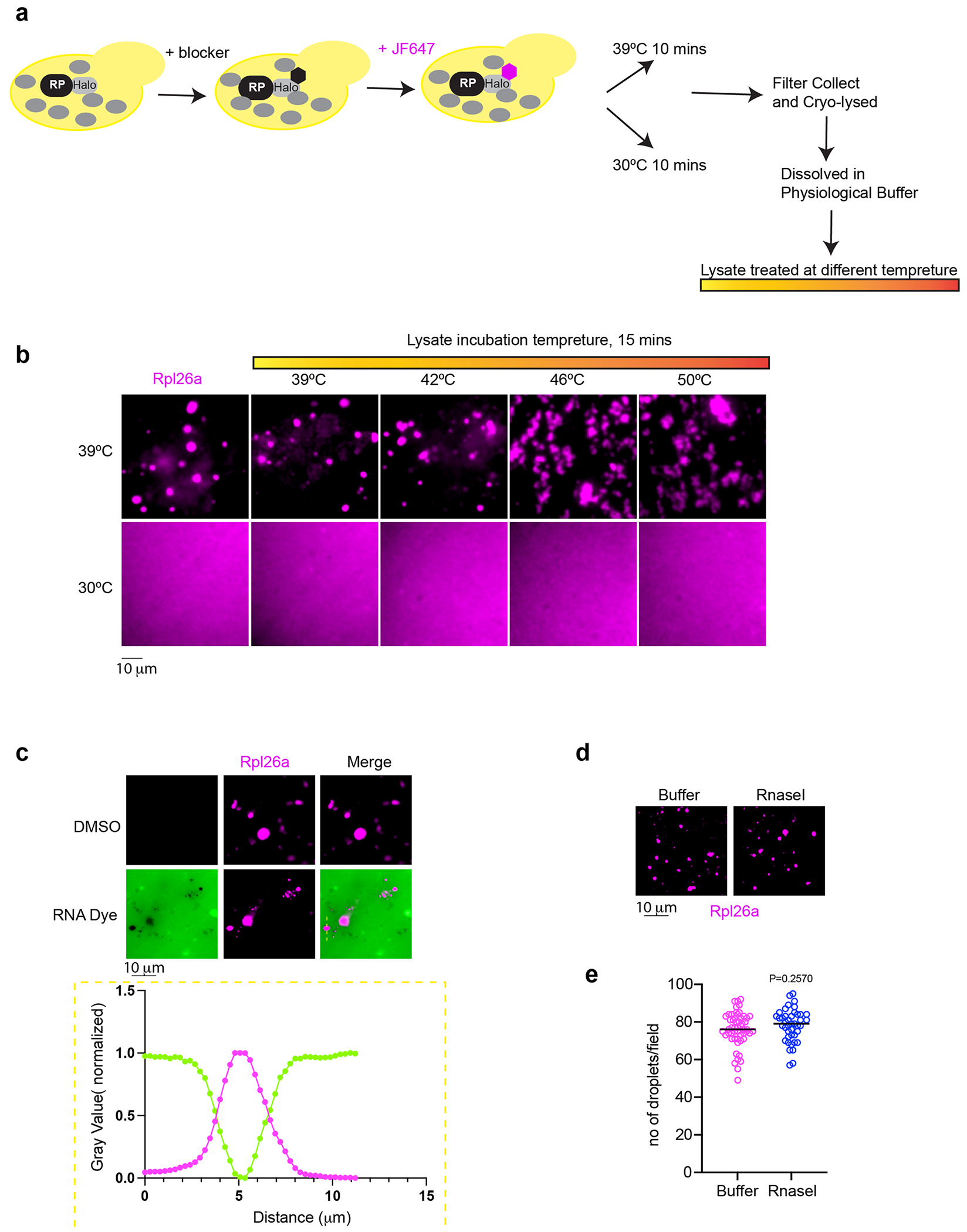 Extended Data Fig. 6 |