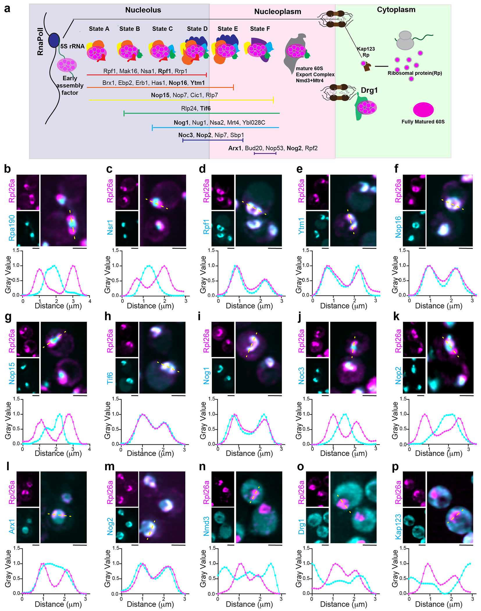 Extended Data Fig. 3 |