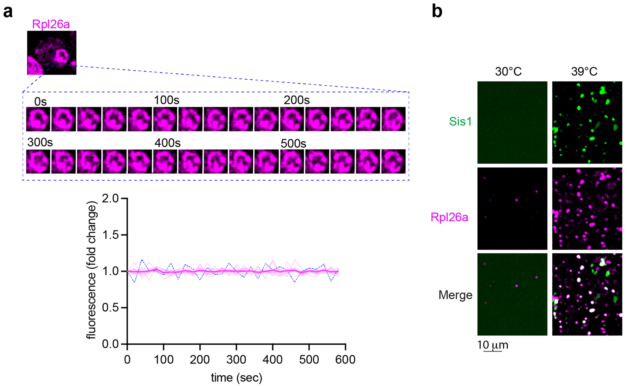 Extended Data Fig. 5 |