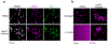 Extended Data Fig. 7 |