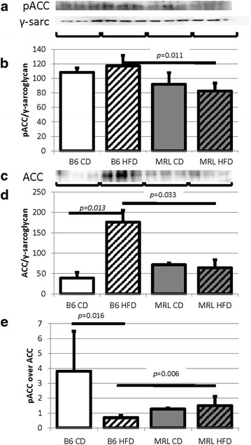 Fig. 6