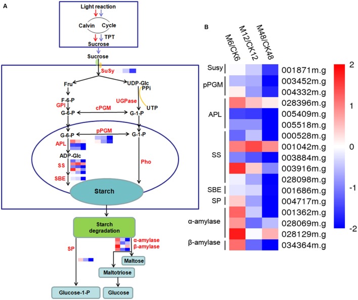 FIGURE 6