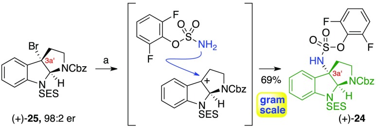 Scheme 3