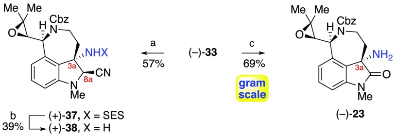 Scheme 5