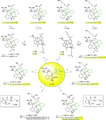 Scheme 7