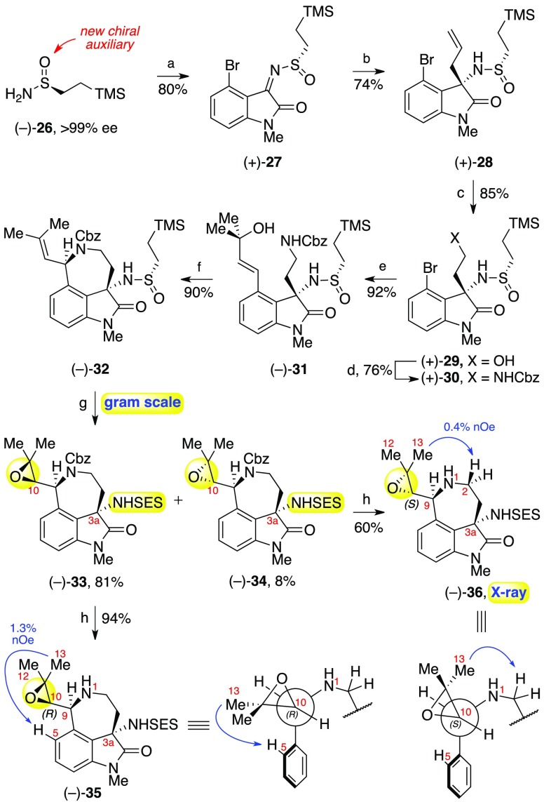 Scheme 4