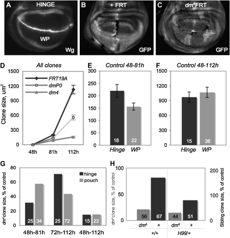 Figure 2.—