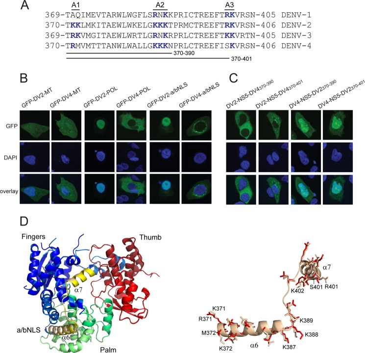 FIGURE 4.